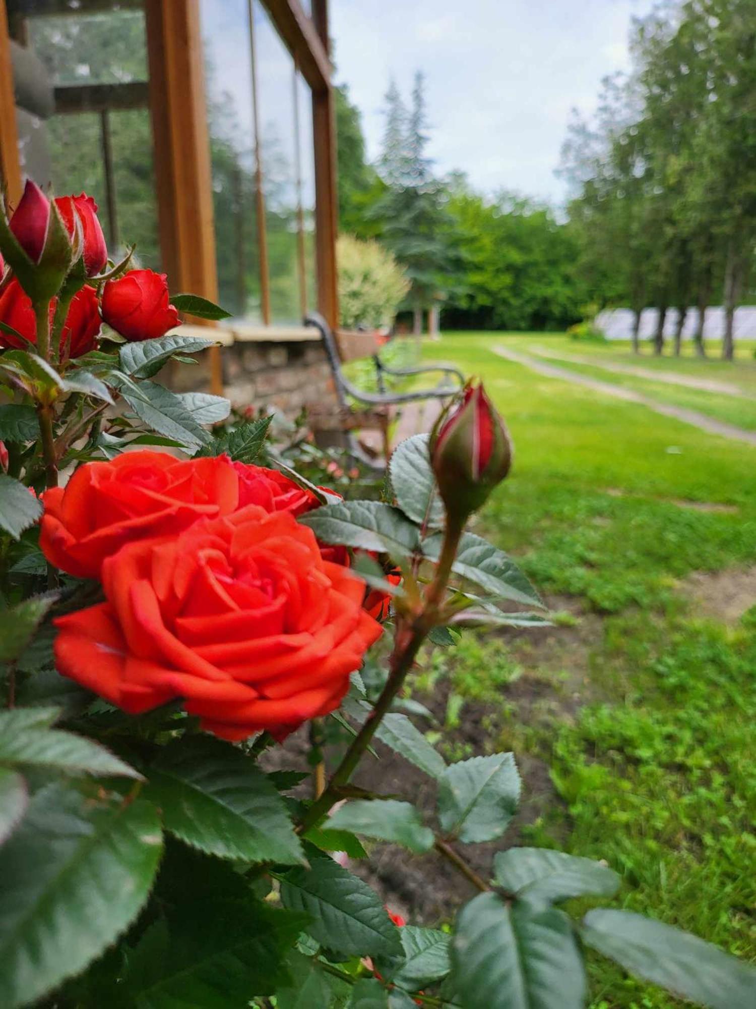 Gyoember Tanya Villa Ásotthalom Exterior foto
