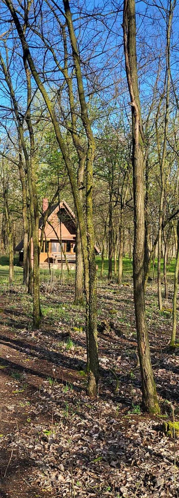 Gyoember Tanya Villa Ásotthalom Exterior foto